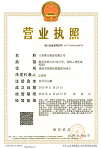 山东雅士营业执照